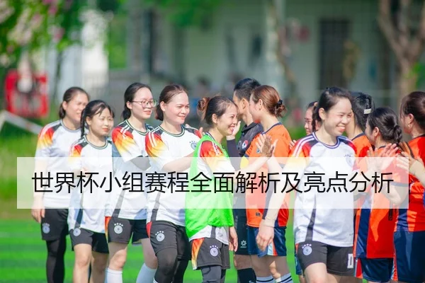 世界杯小组赛程全面解析及亮点分析